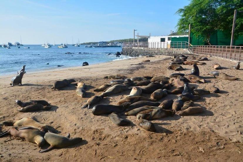 La Casa D Juan Lägenhet Puerto Baquerizo Moreno Exteriör bild